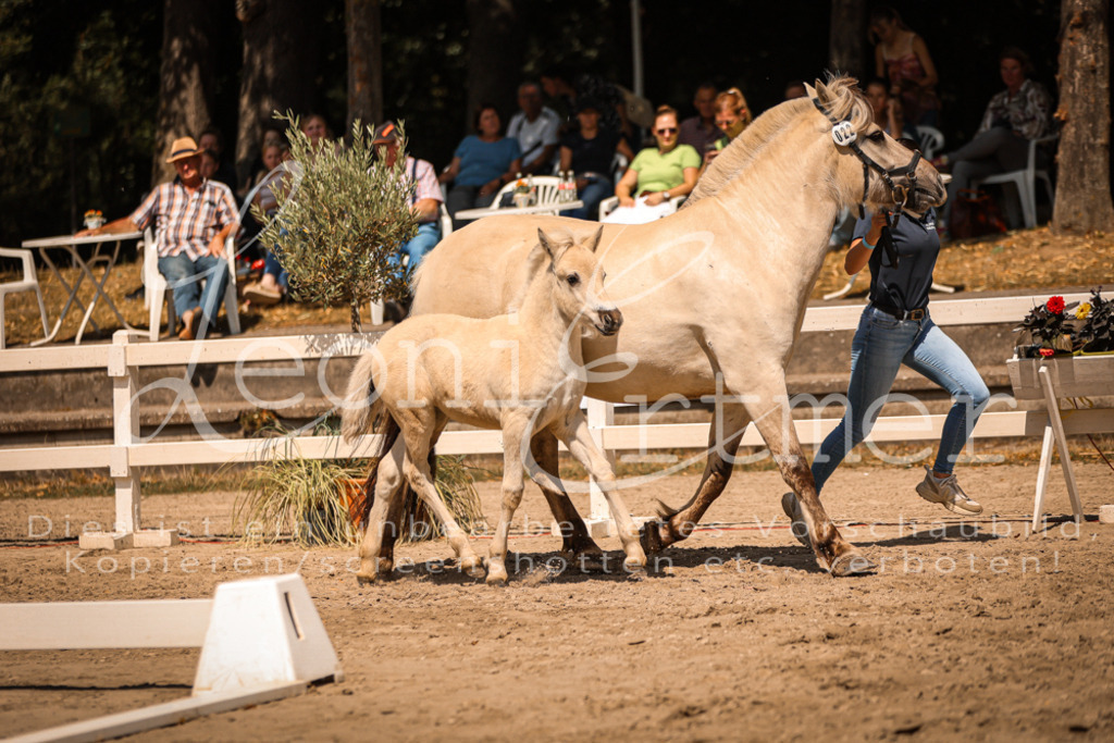 05.DoF00054 | Leoni Ertmer Photography - Realisiert mit Pictrs.com