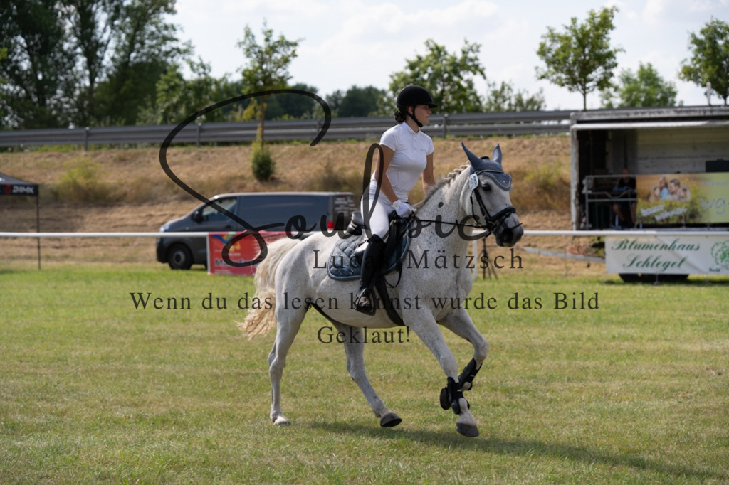 A7V00482 | Turnier/Reitfotograf