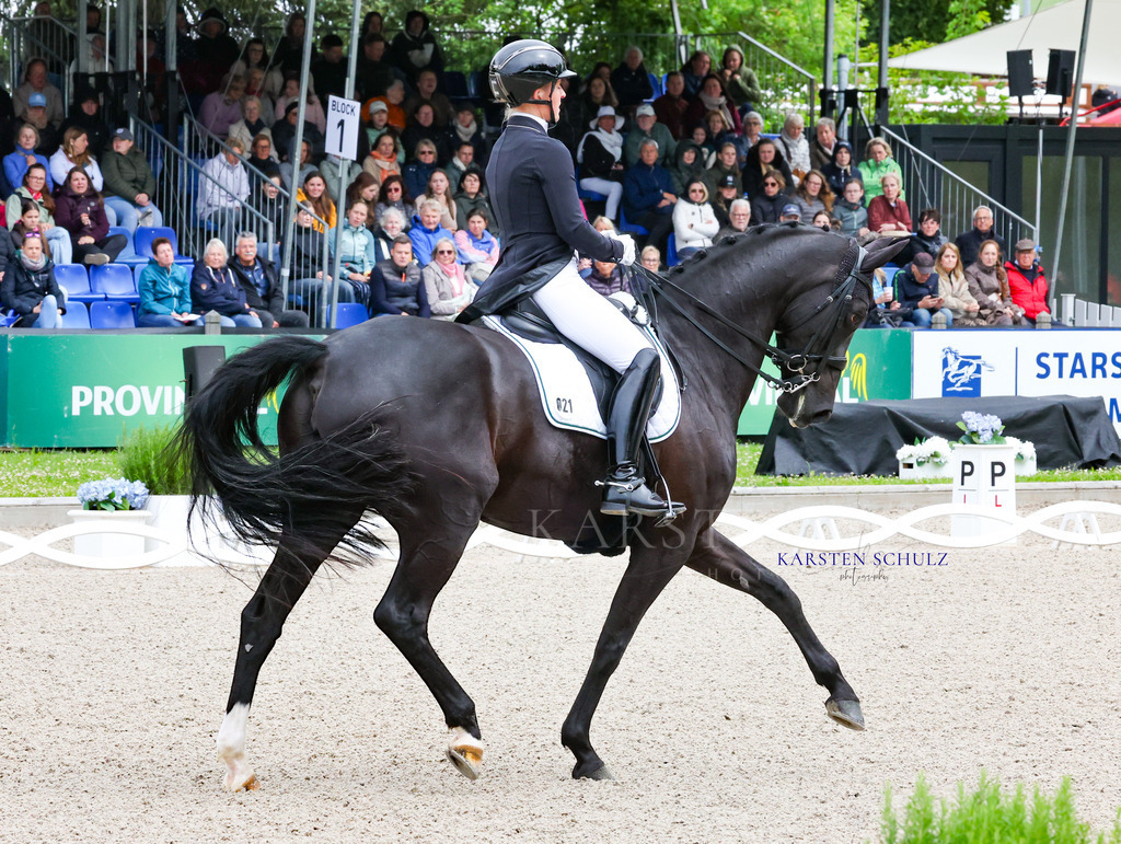 1B3A7340 | Reitsport Reiten