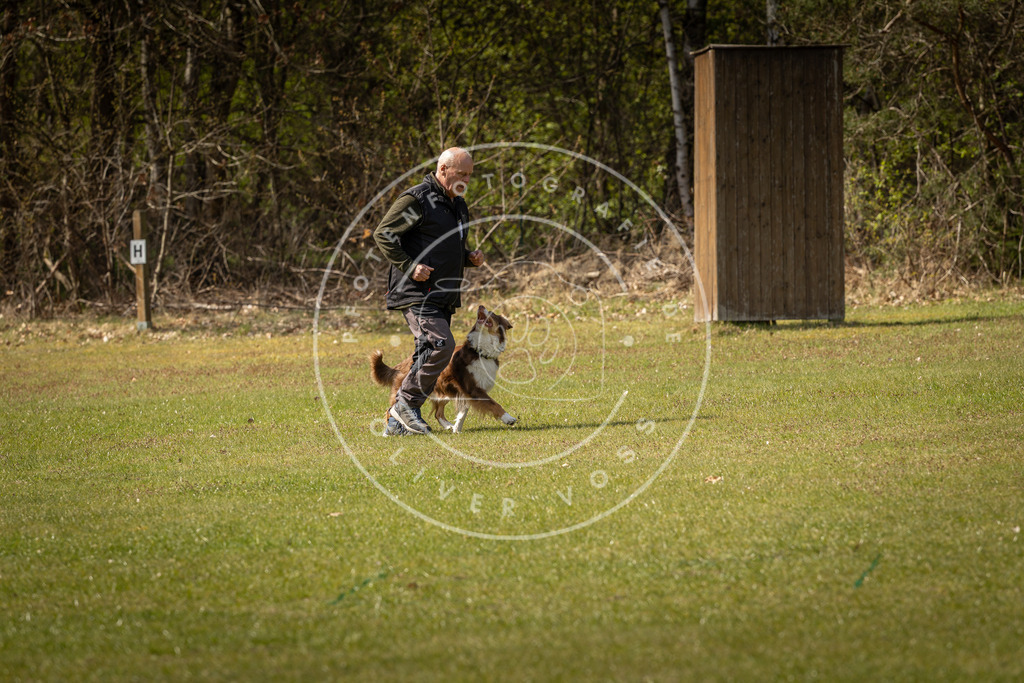 Pfotenfotografie_DV3A1331 | Hundefotografie, Tierfotograf, Pfotenfotografie, Fotoshooting Hund, Hunde Portrait, Hundesport, Hundeportraits, Heideshooting, Hunde, Sportfotograf, Hundefotograf, Turnierhundsport, THS,  - Realisiert mit Pictrs.com