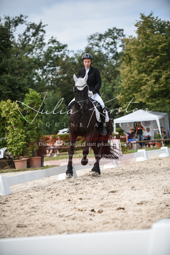 DSC_8656 | Pferde- und Turnierfotografie in Westsachsen. Pferdeportraits, Auftragszeichnungen und intuitive Kunst.