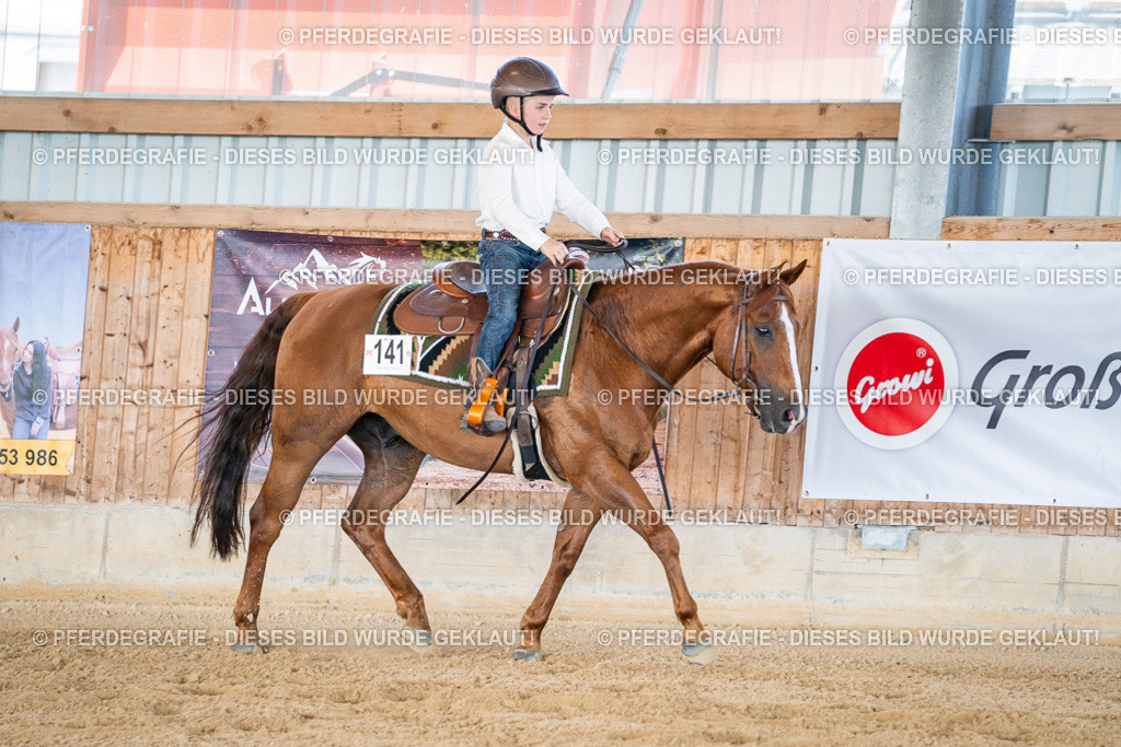 DSC03133 | Pferdegrafie