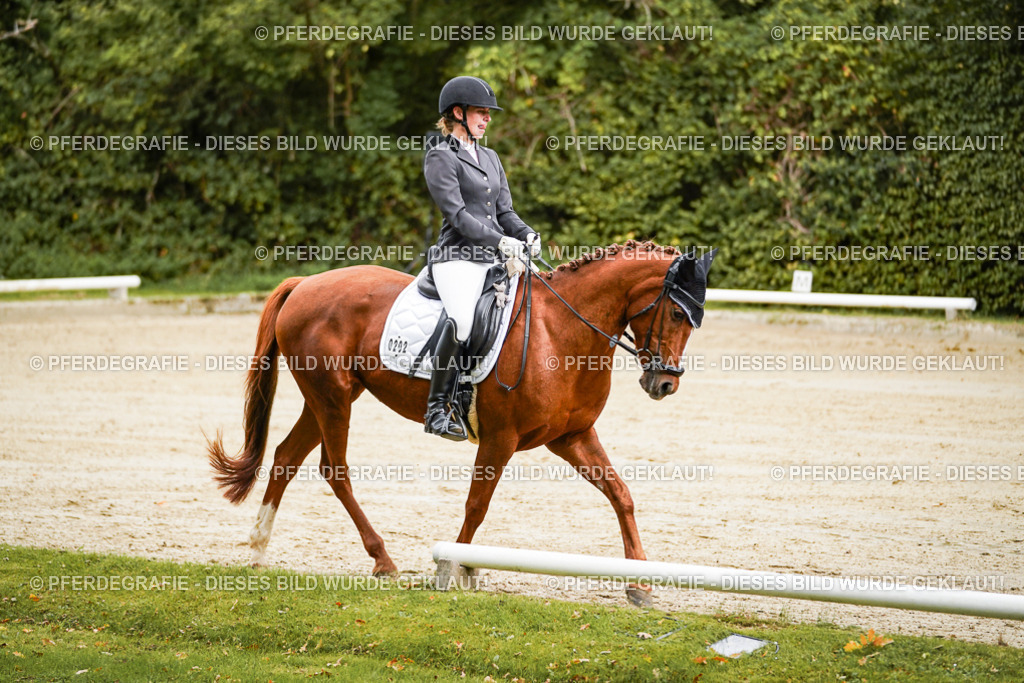 DSC08496 | Pferdegrafie