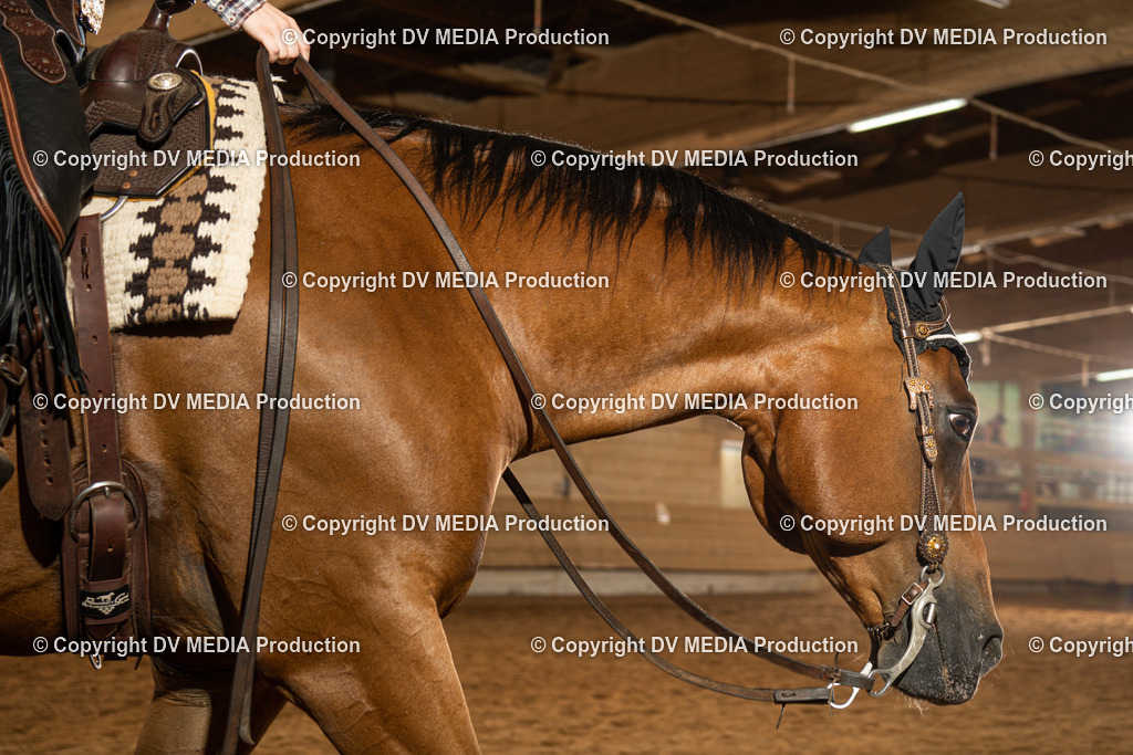 NID01644 | dv-media-shop - Realisiert mit Pictrs.com