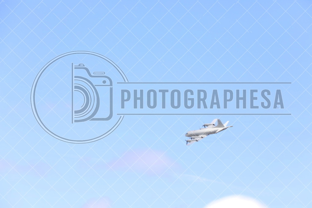 IMG_8815 | photographesa-joergens - Realisiert mit Pictrs.com