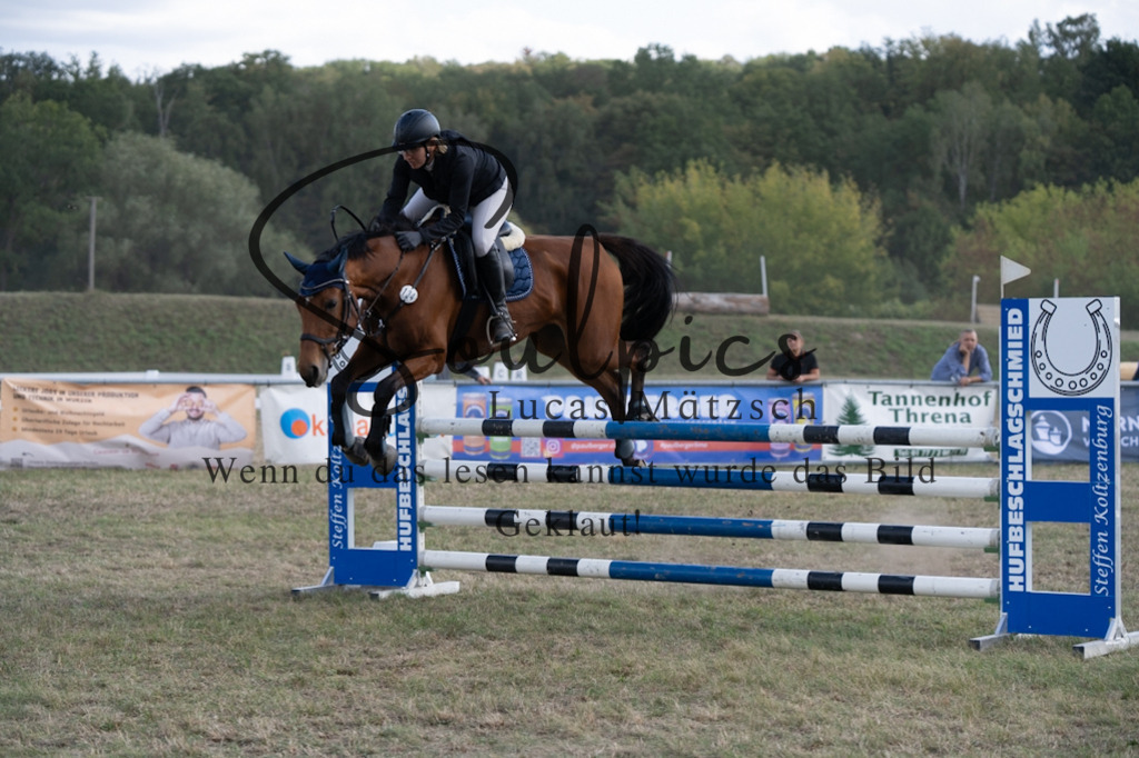 A7V09153 | Pferdefotograf