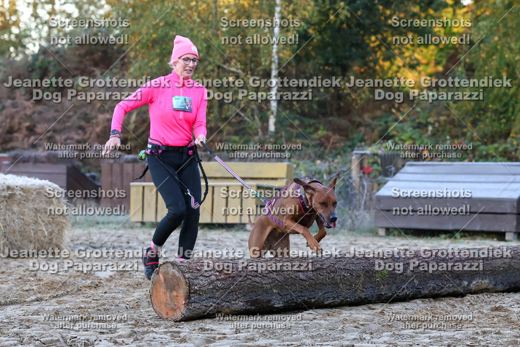 Dog Paparazzi - Strongdog 10-25-172 | Dog Paparazzi Jeanette Grottendiek Fotografie & Videografie - Realisiert mit Pictrs.com