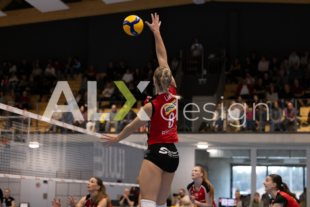 Volleyball I Frauen I Saison 2025-2026 I Volleyball NLA | Women I 1/4 Finals I  BIWI VFM - VC Kanti Schaffhausen I 01.03.2026 | 8 Letícia Bonardi (BR) (BIWI VFM) – Diagonalangriff - Realisiert mit Pictrs.com