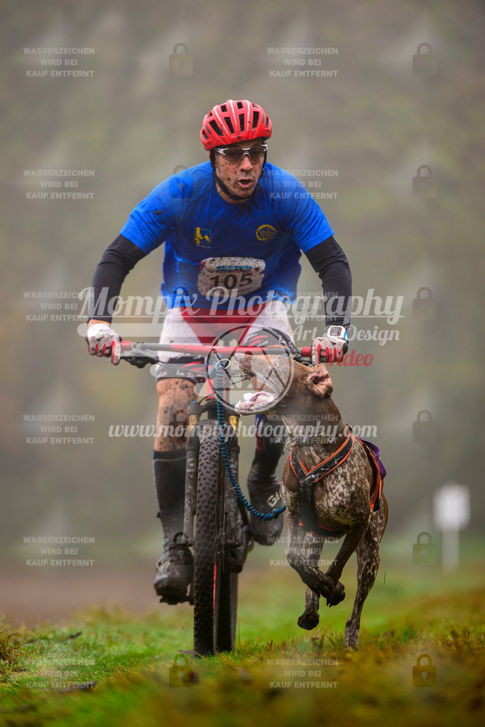 MompixPhotography_Bischwiller2025_Bike-1 | mompixphotography