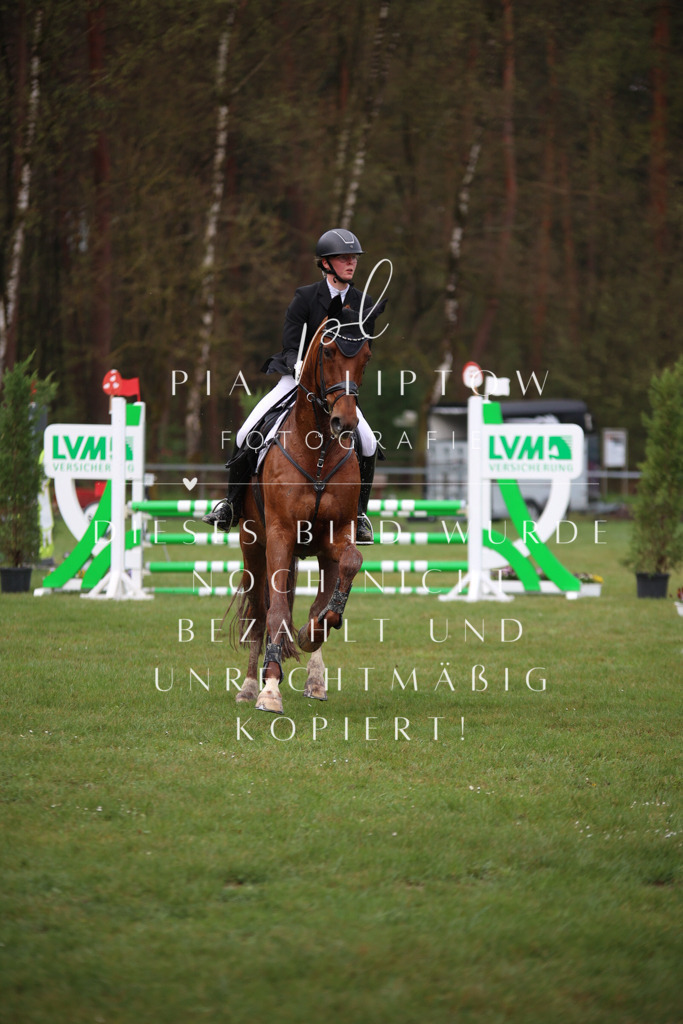 IMGT2456 | pl-fotografie