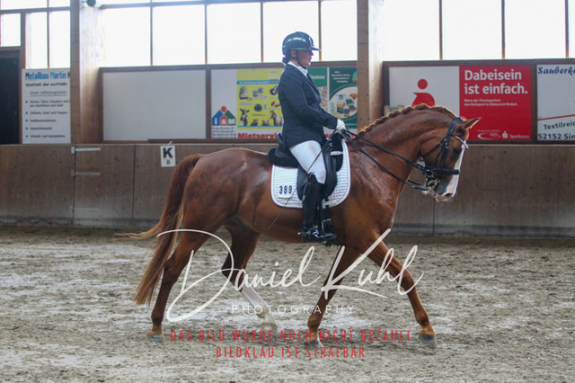 DKP44910 | Turniersportfotografie; Pferdefotografie; Dressurfotografie