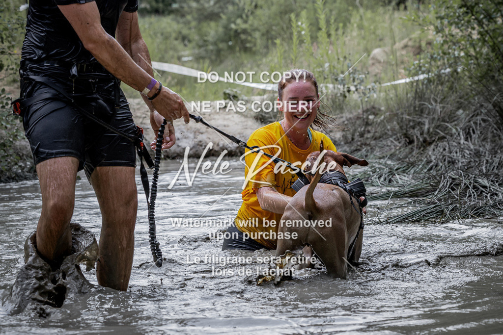 nelerasche_so1145-1230_109 | nelerasche