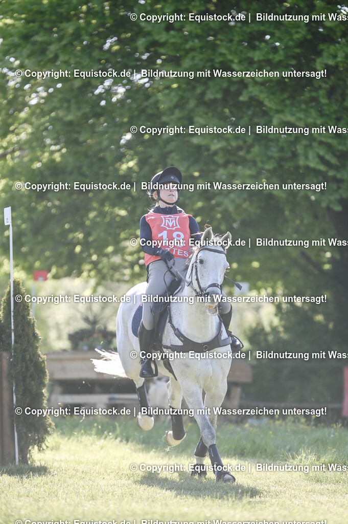 20250517_CCI2_Gelände_0468 | Foto: Thomas Hartig