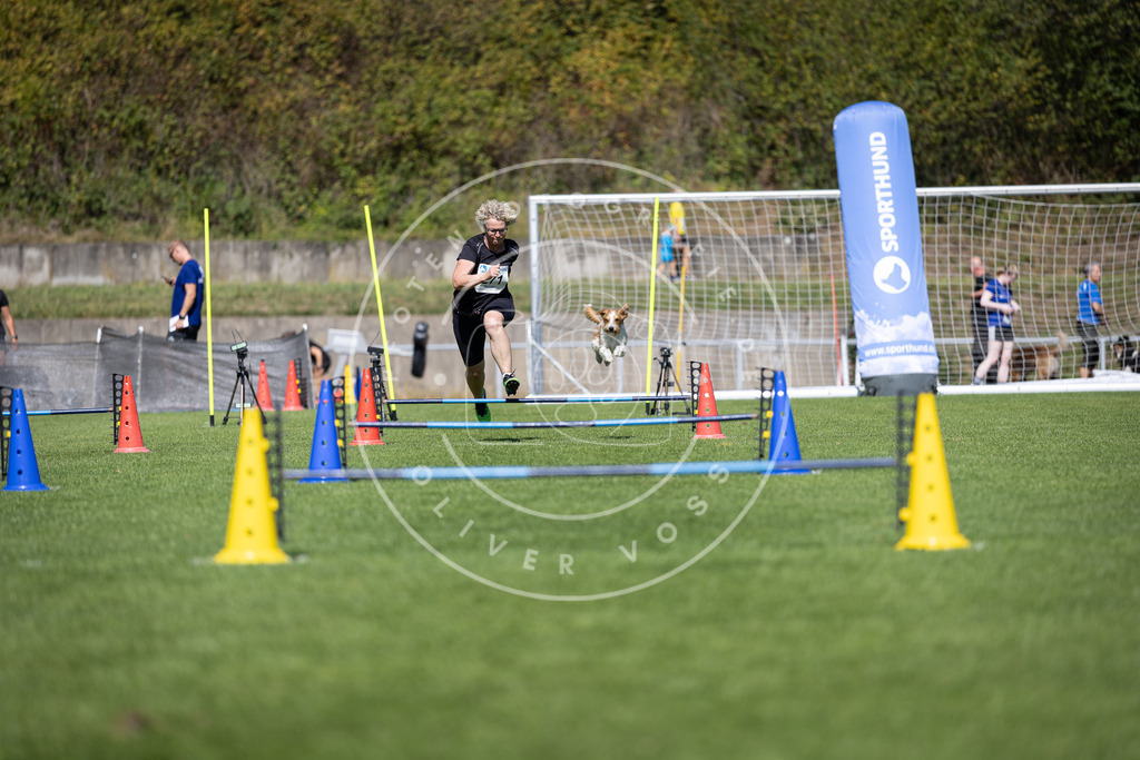Pfotenfotografie_DV3A6820 | Hundefotografie, Tierfotograf, Pfotenfotografie, Fotoshooting Hund, Hunde Portrait, Hundesport, Hundeportraits, Heideshooting, Hunde, Sportfotograf, Hundefotograf, Turnierhundsport, THS,  - Realisiert mit Pictrs.com