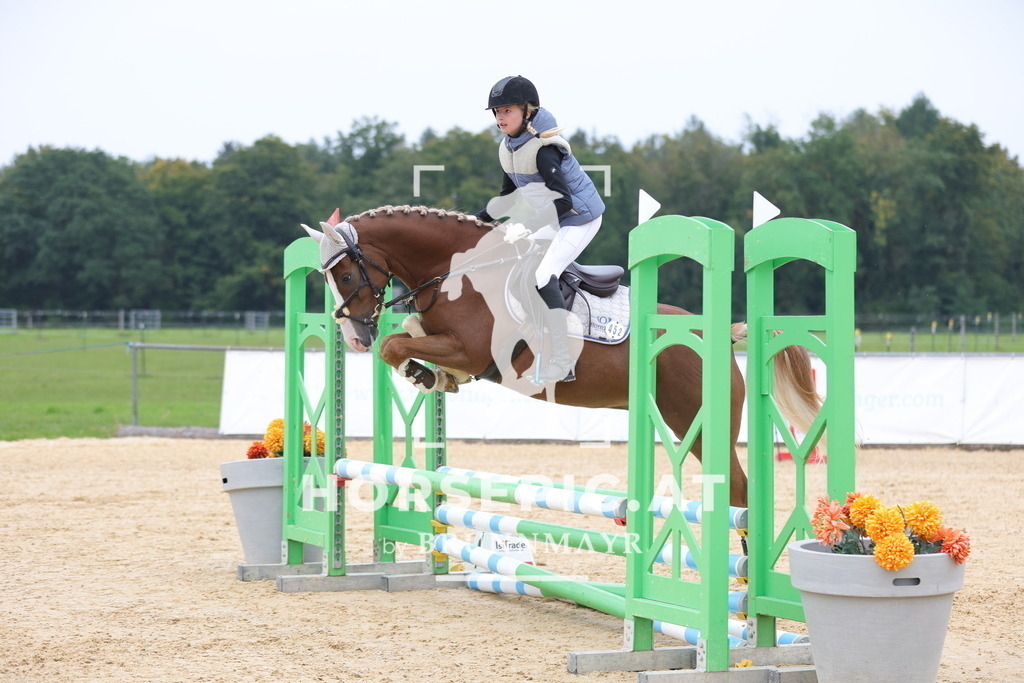 0P6A3212 | Willkommen bei Brunnmayr - Design & Fotografie – Ihrem Spezialisten für Reitturniere und Pferdeveranstaltungen in Oberösterreich, Salzburg und Bayern! Seit über 17 Jahren sind wir leidenschaftlich dabei.