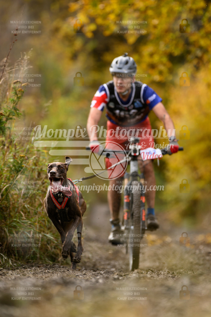 MompixPhotography_ICF_WC_2024_SA_Bike_-221 | PayLife