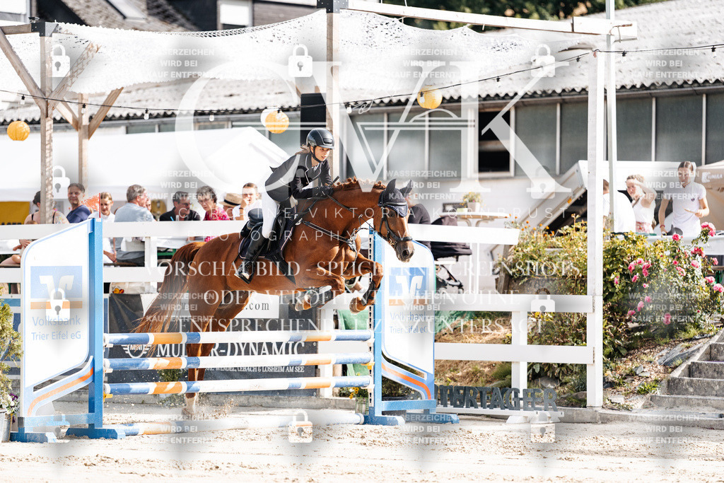 CK909038 | Turnierfotografie Pferdefotografie Trier Rheinland-Pfalz Pferdesport Reitsport Tierfotografie Sportfotografie Pferdevideo Pferdevideografie Equestrianvideography equestrianphotography  - Realisiert mit Pictrs.com