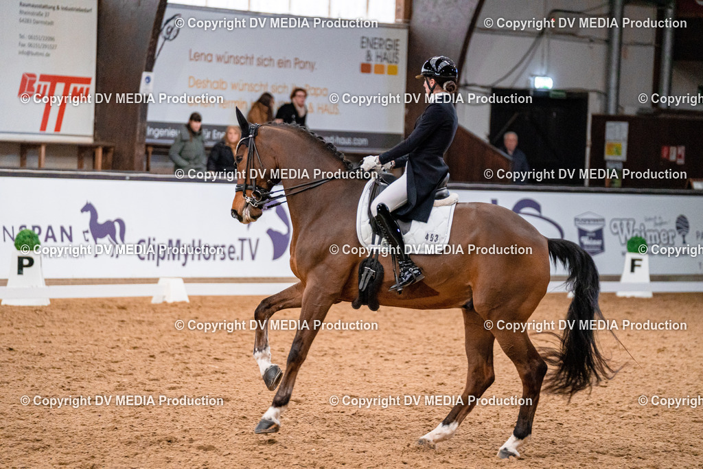 Kranichstein Tag 1-580 | dv-media-shop - Realisiert mit Pictrs.com