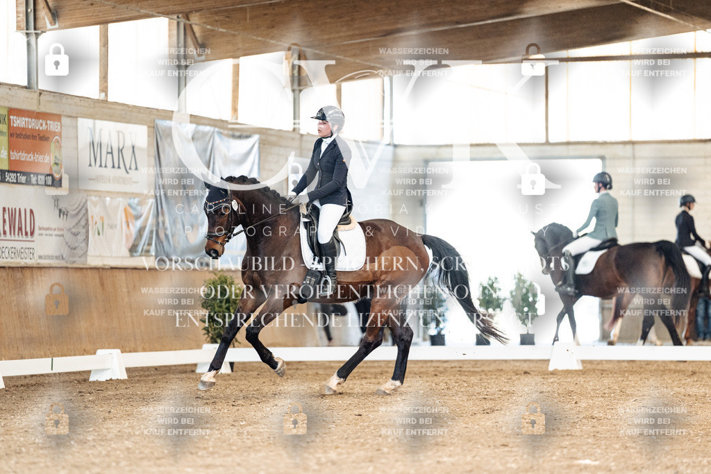 CK900875 | Turnierfotografie Pferdefotografie Trier Rheinland-Pfalz Pferdesport Reitsport Tierfotografie Sportfotografie Pferdevideo Pferdevideografie Equestrianvideography equestrianphotography  - Realisiert mit Pictrs.com