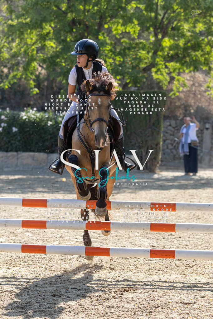 IMG_4863 | s-jay-photography - Realisiert mit Pictrs.com