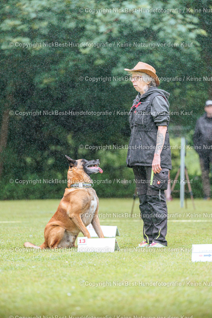 RO-Blumenthal-2026-Nickbest-Hundefotografie-0461 | Dein Hund! Dein Moment! Deine Erinnerungen! Hundefotografie in Bremen Blumenthal. Ich fange die besonderen Momente deines Vierbeiners ein – ob Indoor mit Blitzanlage oder in der freien Natur. Sicher dir dein Moment und dein Termin für eure Erinnerungen.