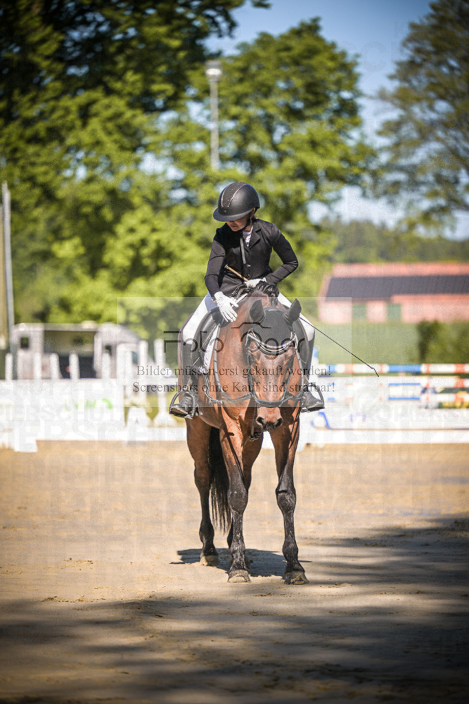 DOS_3072 | Entdecke hochwertige Reitturnierfotos von Foto Oger. Professionell, emotional und authentisch – jetzt Lieblingsmomente im Shop bestellen.Deutschlandweite Turnierfotografie. - Realisiert mit Pictrs.com