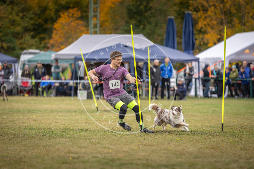 Pfotenfotografie_DV3A8243 | Hundefotografie, Tierfotograf, Pfotenfotografie, Fotoshooting Hund, Hunde Portrait, Hundesport, Hundeportraits, Heideshooting, Hunde, Sportfotograf, Hundefotograf, Turnierhundsport, THS,  - Realisiert mit Pictrs.com