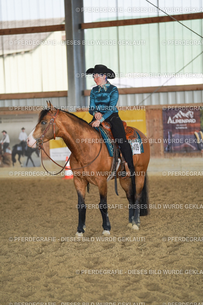 DSC09977 | Pferdegrafie