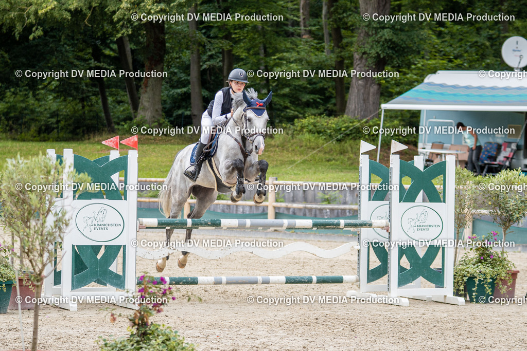 Hessische Tag 1-813 | dv-media-shop - Realisiert mit Pictrs.com