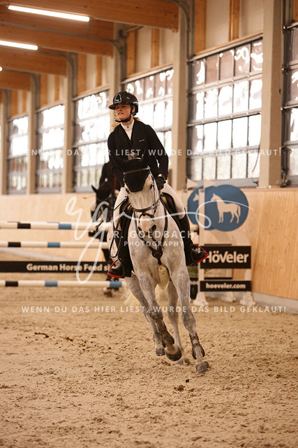 1J2A6986Tessa Leni Thillmann_ Click M_ Kn147_ Glantz_ Hohen Wieschendorf | Foto- und Videografie für alles rund ums Pferd. Hochwertige Bilder und Videos vom Spring- und Dressurreiten, Voltigieren & mehr. Jetzt aktuelle Veranstaltungen und Preise im Shop ansehen. - Realisiert mit Pictrs.com