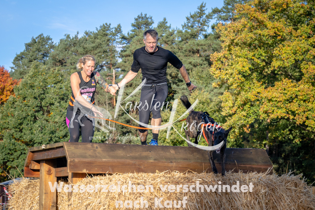 0919_ZZ90401 | kk-dogfotos