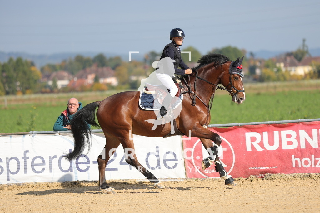 0P6A8110 | Willkommen bei Brunnmayr - Design & Fotografie – Ihrem Spezialisten für Reitturniere und Pferdeveranstaltungen in Oberösterreich, Salzburg und Bayern! Seit über 17 Jahren sind wir leidenschaftlich dabei.