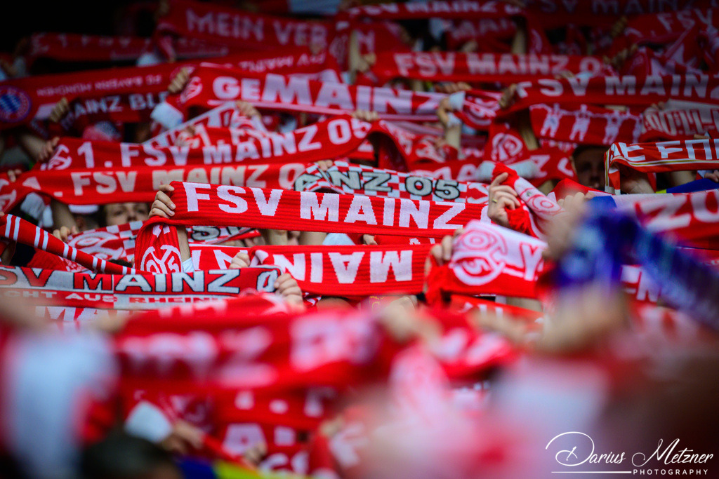 Im Mainz05 Stadion | Im Mainz05 Stadion