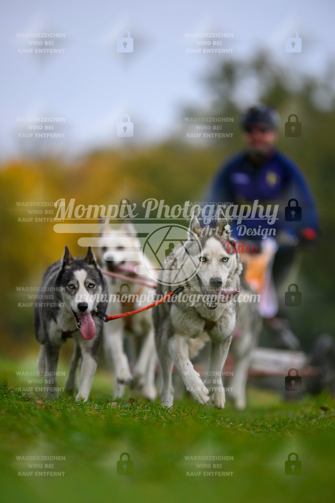 MompixPhotography_CDLBDB2025_DI_Kart-36 | PayLife