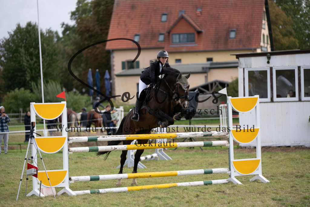 A7V07366 | Turnier/Reitfotograf