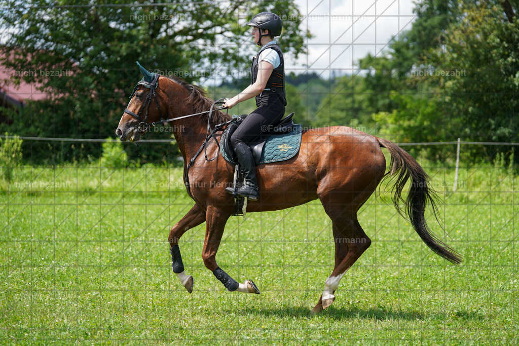 20240622-FAH06953 | Turnierfotografen Bayern, Reitsportbilder aus dem Geländekurs mit Felix Etzel auf dem Gut Waitzacker 2024