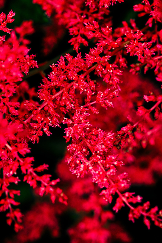 _T2A0787 | ap-design // andreas plenk - Realisiert mit Pictrs.com