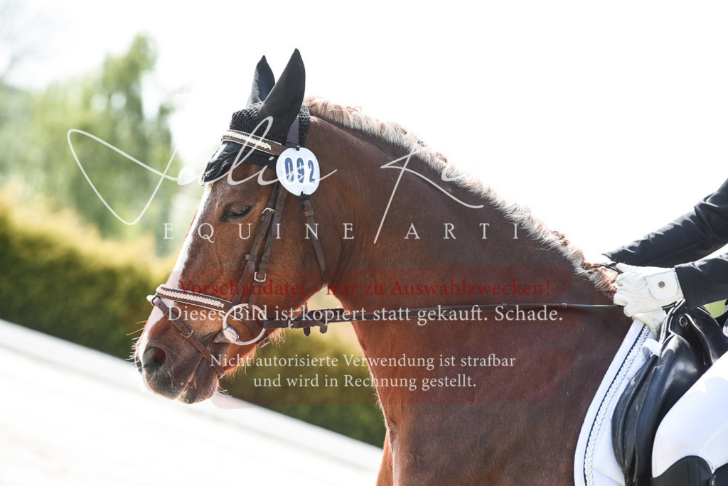 20230518_JK-Röhrsdorf-09-1517 | Pferde- und Turnierfotografie in Westsachsen. Pferdeportraits, Auftragszeichnungen und intuitive Kunst.