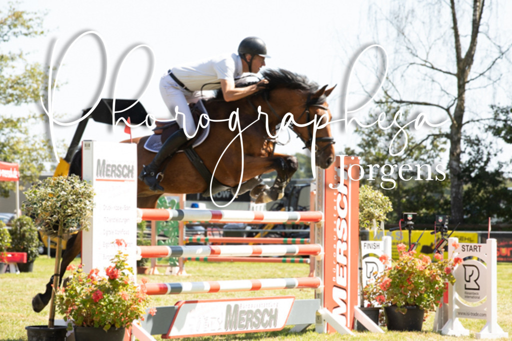 IMG_9160 | photographesa-joergens - Realisiert mit Pictrs.com