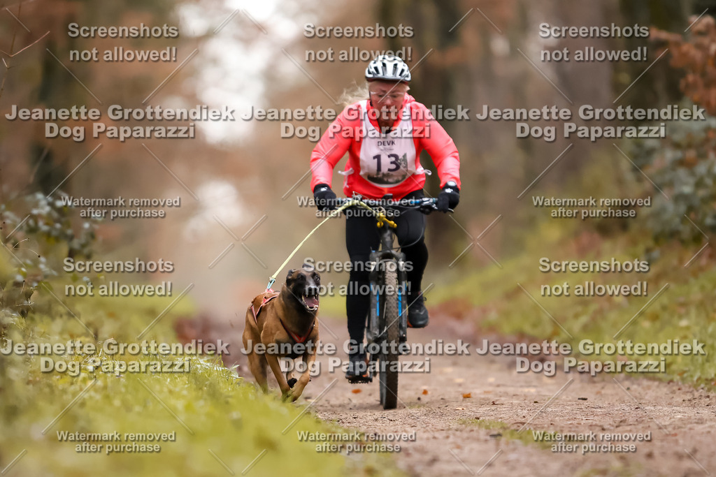 Dog Paparazzi - Speedhunter Mannheim  2025-36 | Dog Paparazzi Jeanette Grottendiek Fotografie & Videografie