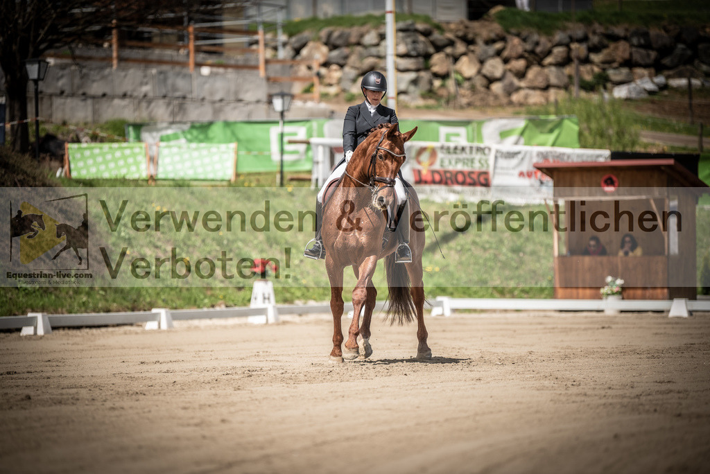 DSC_1472 | equestrian-live-com