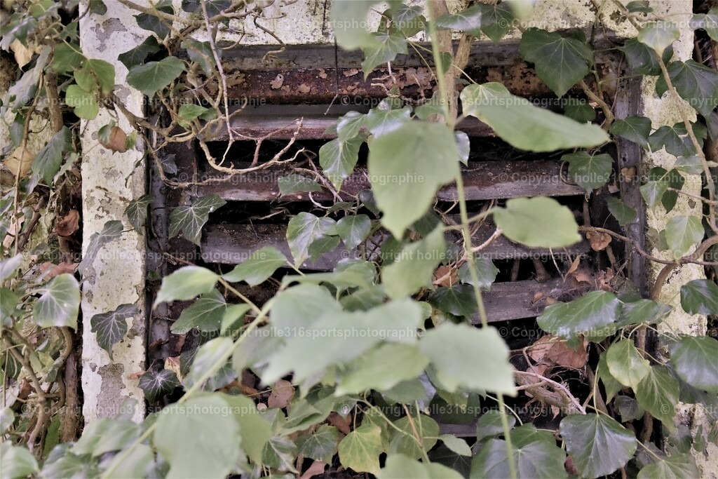 DSC_0045 (2) | Sportfotografie , Motorsport, Motoross, Reitsport, Mointainbike, Enduro,
Landschaft , Outdoor, Eventfotografie, Landschaft, Bilder online bestellen - Realisiert mit Pictrs.com