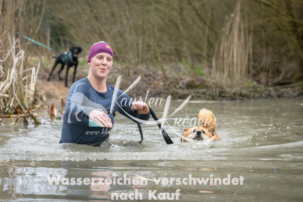 1340_ZZ91313 | kk-dogfotos