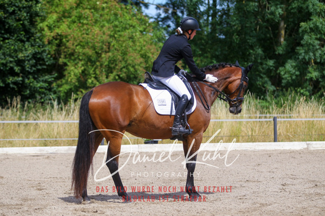 DKP46649 | Turniersportfotografie; Pferdefotografie; Dressurfotografie