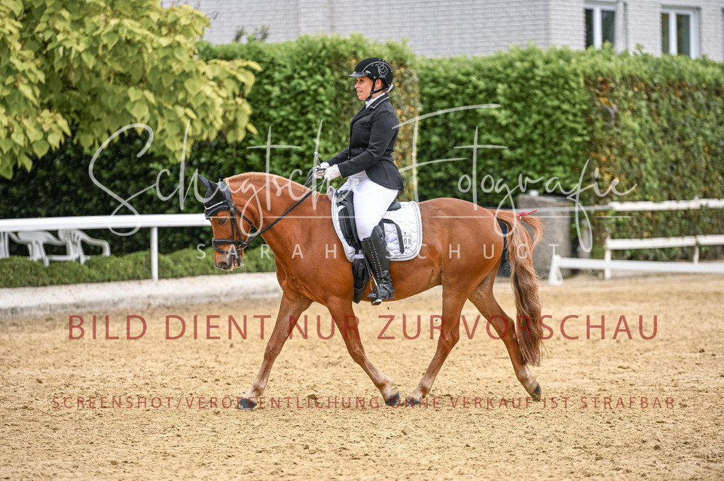 Schugtsche-Aluta25-41.Amat-Dressurprf.A_-606 | Schugtsche Fotografie - Realisiert mit Pictrs.com
