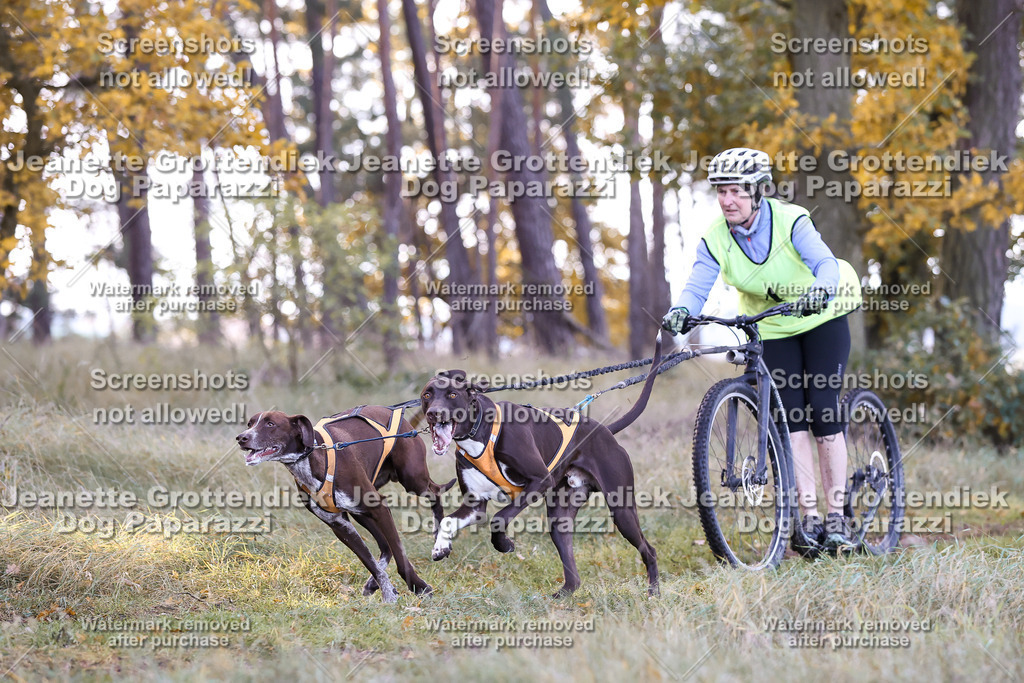 Dog Paparazzi - Elsholz 25 -48 | Dog Paparazzi Jeanette Grottendiek Fotografie & Videografie - Realisiert mit Pictrs.com