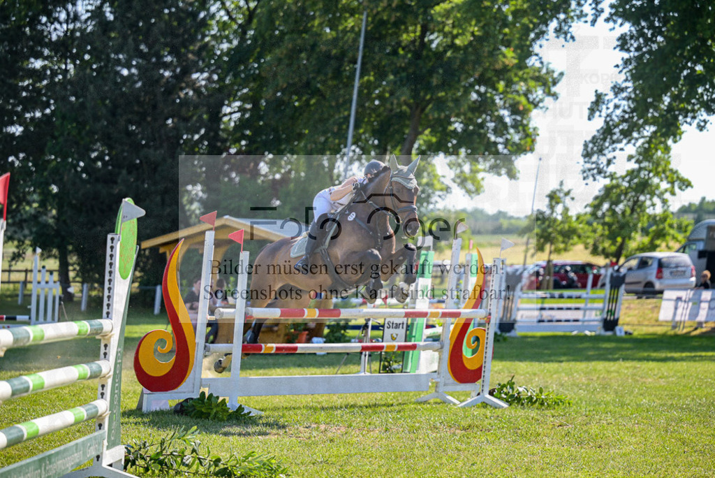 Reitturnier Voxtrup | Entdecke hochwertige Reitturnierfotos von Foto Oger. Professionell, emotional und authentisch – jetzt Lieblingsmomente im Shop bestellen.Deutschlandweite Turnierfotografie. - Realisiert mit Pictrs.com