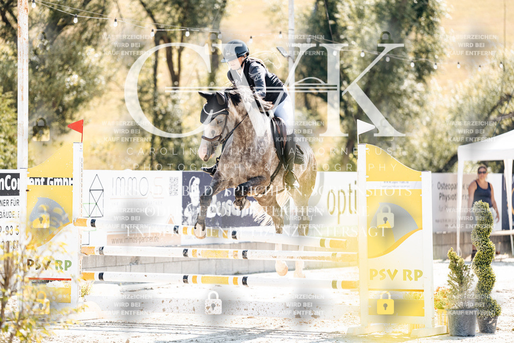CK908565 | Turnierfotografie Pferdefotografie Trier Rheinland-Pfalz Pferdesport Reitsport Tierfotografie Sportfotografie Pferdevideo Pferdevideografie Equestrianvideography equestrianphotography  - Realisiert mit Pictrs.com