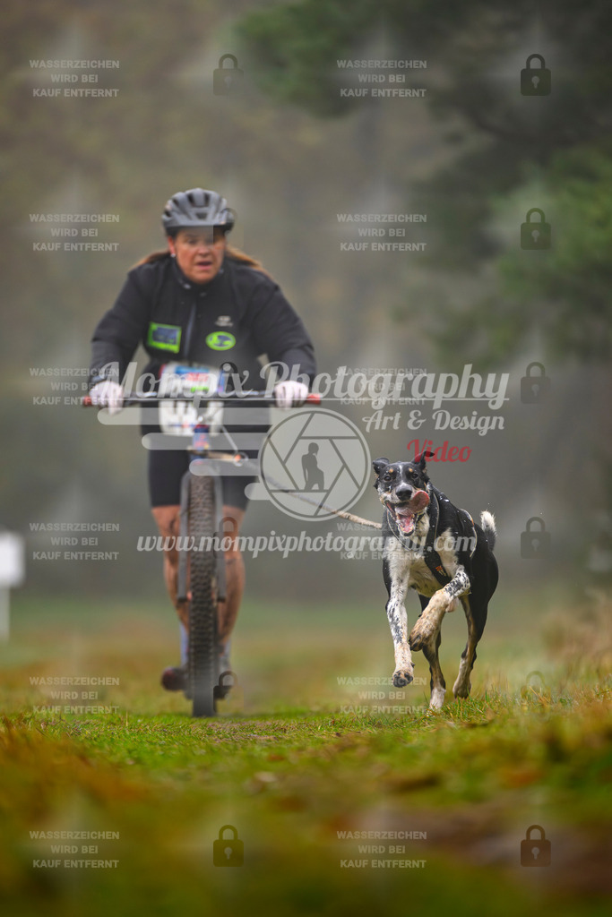 MompixPhotography_Bischwiller2025_Scooter-55 | mompixphotography