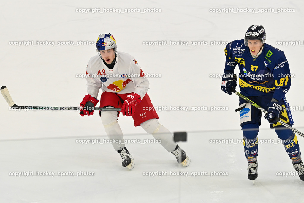 RED BULL HOCKEY JUNIORS vs. EK DIE ZELLER EISBÄREN | #42 Lanzinger Florian RED BULL HOCKEY JUNIORS, #87 Piuk Tobias EK DIE ZELLER EISBÄREN, RED BULL HOCKEY JUNIORS vs. EK DIE ZELLER EISBÄREN, RED BULL HOCKEY JUNIORS vs. EK DIE ZELLER EISBÄREN am 14.01.2025 in Salzburg (Eisarena Salzburg), Austria, (Photo by Bernd Stefan)